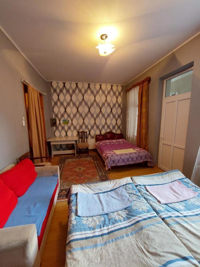 Vaniko'S Guesthouse Borjomi Exterior photo